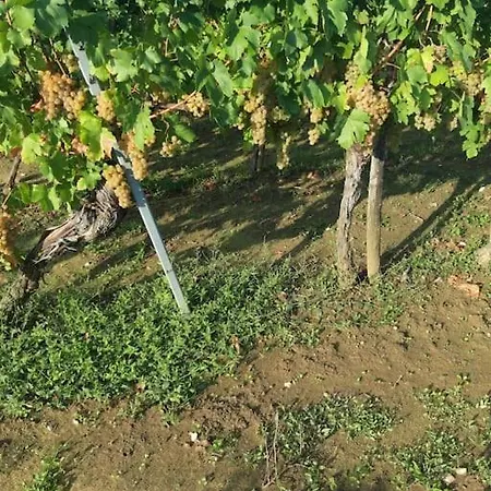 Appartement Sunce 1 *