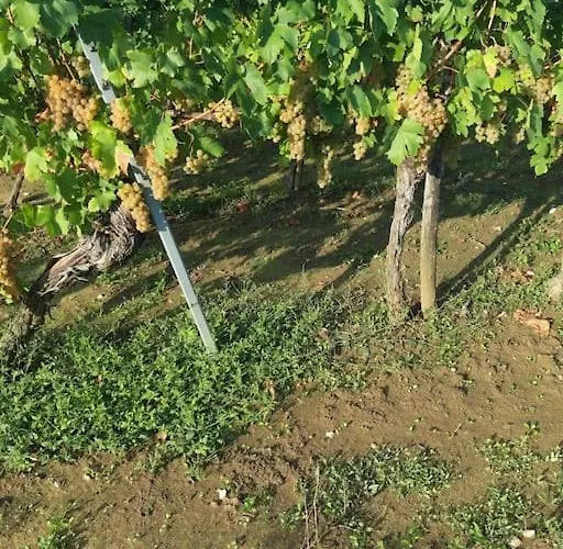 Appartement Sunce 1 *